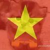 dauphong41