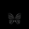 user6143196352127