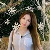 veron_1311