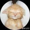 yoya_508