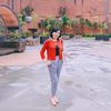 lina_modis