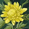 user98871125606108