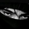 abo7alhsn7