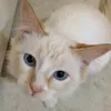 sofi20131611