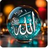 user31194469727501