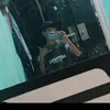 wx_carvalho