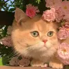 ruqy_05