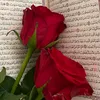 user4839280151480