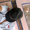 user195273993
