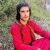 shazebkhan7353