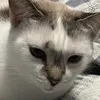 ozzn22