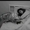 Mèo Mướp Cute