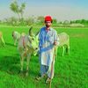 bashak.mazari