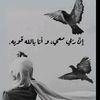 user14144693278115