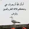 user68348723184080