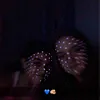 larisszareni7