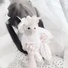 liilisbsf