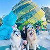 quynh.anh7710