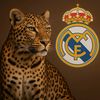 x_ah11