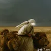 alizxcvbnm26