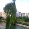 melahat.altun6
