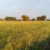 user58110744996191