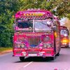 fathima.haseena08