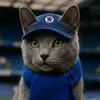fanchelsea2010