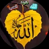 user7058561909530