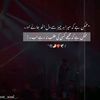 sheikh.zadi072