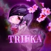trifkachistilevic