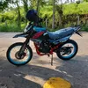 lobo.de.la.sierra5
