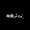 nadamahmoud6322