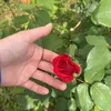 leyla__695