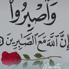 user8723753611991
