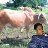 ishakasangare00