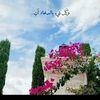 najooah305