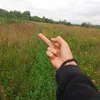 kot_unnv