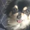 kingboo0606