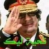 user8558881923081