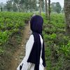 ysiadihaan