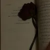 hi_uu38