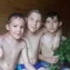 THE TRIBE