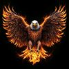mr.eagle32