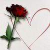 sharlene4795