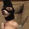 cigardaddy123