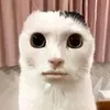 cxberr3