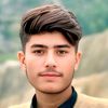 tanzeelshah698