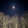 nightowl6320