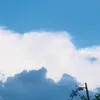 nobyesayhi